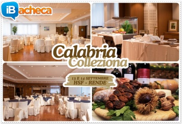 Immagine 4 - Calabria Colleziona