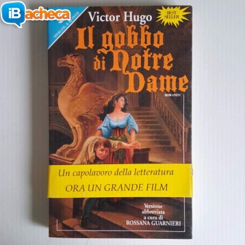 Immagine 2 - Il gobbo di Notre Dame