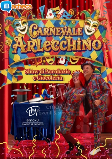 Immagine 1 - Carnevale arlecchino