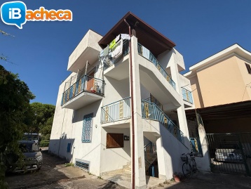 Immagine 1 - 119 Velia