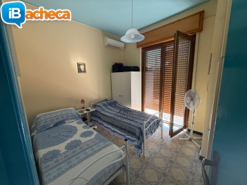 Immagine 2 - 119 Velia