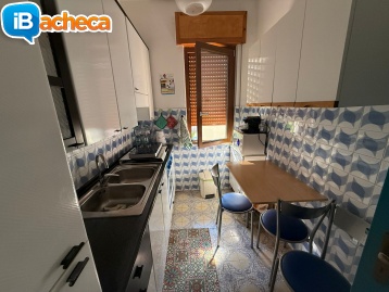Immagine 3 - 119 Velia