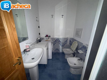 Immagine 4 - 235 Marina