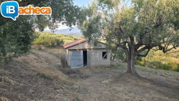 Immagine 1 - 69 terreno metoio