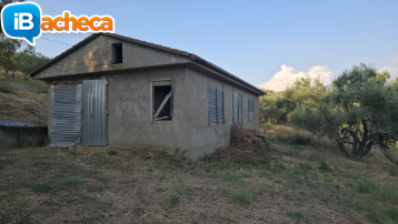 Immagine 2 - 69 terreno metoio