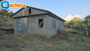 Immagine 3 - 69 terreno metoio