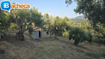 Immagine 5 - 69 terreno metoio