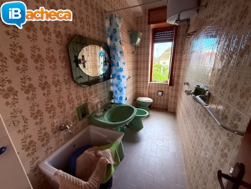 Immagine 4 - 105 Velia