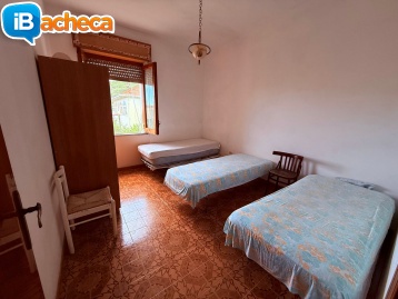 Immagine 5 - 105 Velia