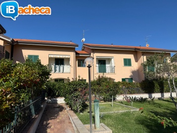 Immagine 1 - 269 Marina