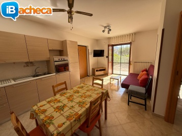 Immagine 2 - 269 Marina