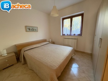 Immagine 3 - 269 Marina