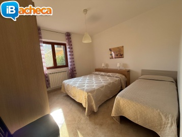 Immagine 4 - 269 Marina