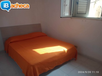 Immagine 5 - San Leone locasi tutto