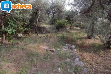 Immagine 4 - Rif.T3