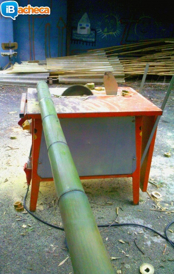 Immagine 2 - In vendita canne di bambù