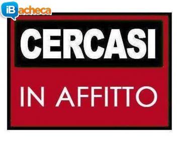 Immagine 2 - Cerchiamo in affitto