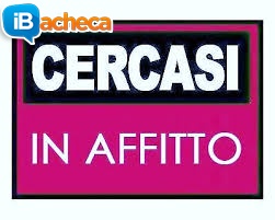 Immagine 4 - Cerchiamo in affitto