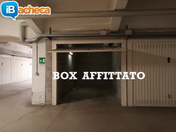 Immagine 1 - Box singolo