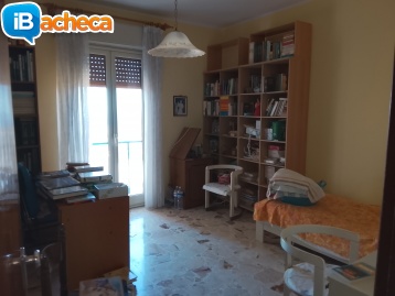 Immagine 1 - Centro Città quadrivani