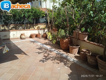 Immagine 3 - Viale Emporium quadrivani
