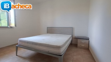 Immagine 3 - 89 Stampella