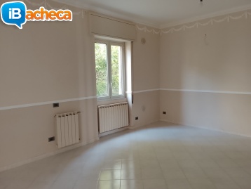 Immagine 2 - Centrale appartamento