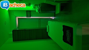 Immagine 1 - Operatore del Massaggio