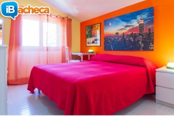Immagine 5 - 250 Villa Paino