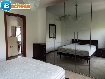 Immagine 2 - Residenziale affitto