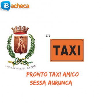 Immagine 2 - Taxi Sessa Aurunca