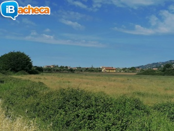 Immagine 2 - Terreno casalvelino