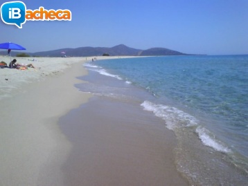 Immagine 3 - Sardegna alloggio Posada