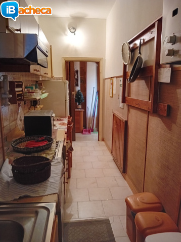 Immagine 2 - 2 locali con servizi