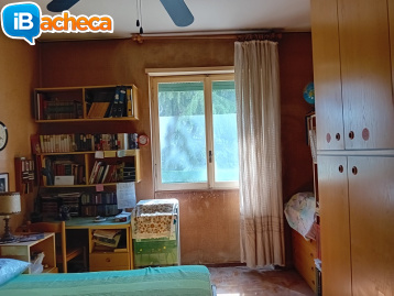 Immagine 3 - 2 locali con servizi