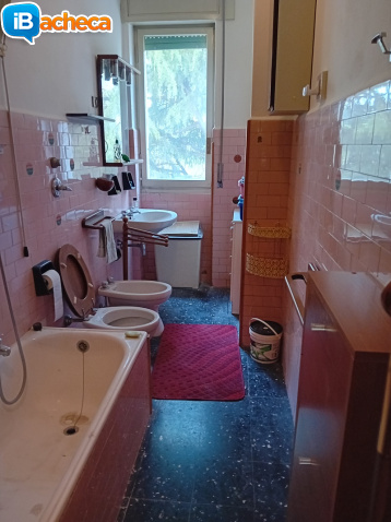 Immagine 4 - 2 locali con servizi