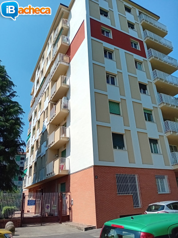 Immagine 5 - 2 locali con servizi