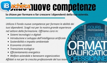 Immagine 1 - Fondo nuove Competenze