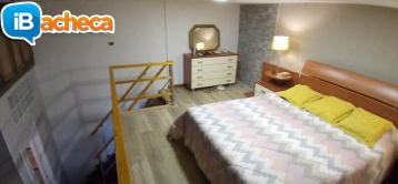 Immagine 4 - Appartamento in ottime