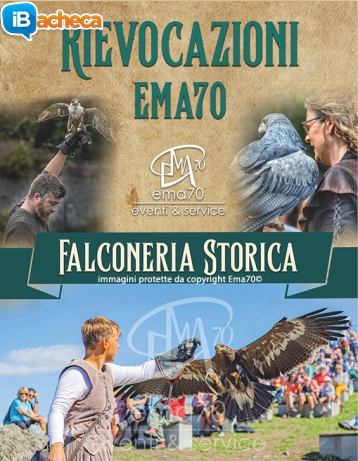 Immagine 1 - I Falconieri