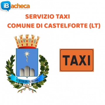 Immagine 1 - Servizio Taxi Castelforte