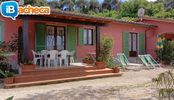 Immagine 1 - Villa Giuliana, vacanze..