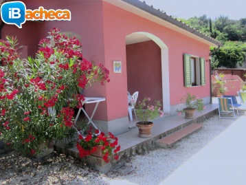 Immagine 2 - Villa Giuliana, vacanze..