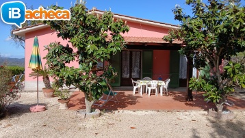 Immagine 4 - Villa Giuliana, vacanze..