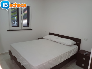 Immagine 3 - 239 Velia