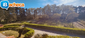 Immagine 5 - Villa Paino