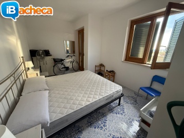 Immagine 5 - 230 Marina