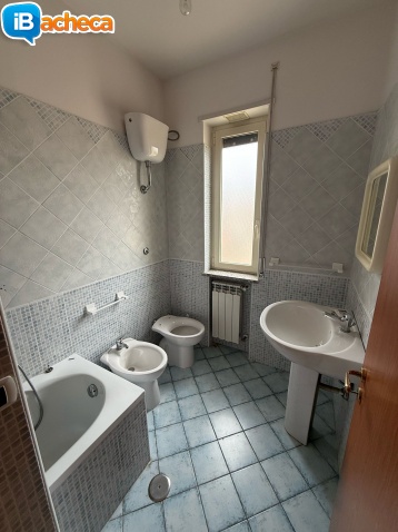 Immagine 3 - 109 Scalo