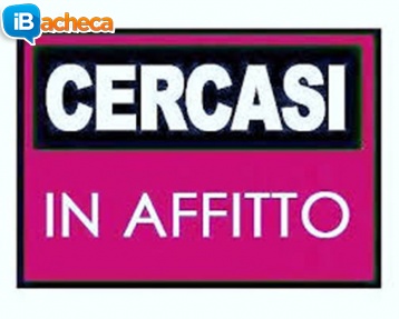 Immagine 2 - 2 Locali arredato