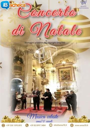 Immagine 4 - Christmas Visual Art